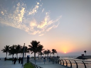 IMG_20191107_173152263_HDR